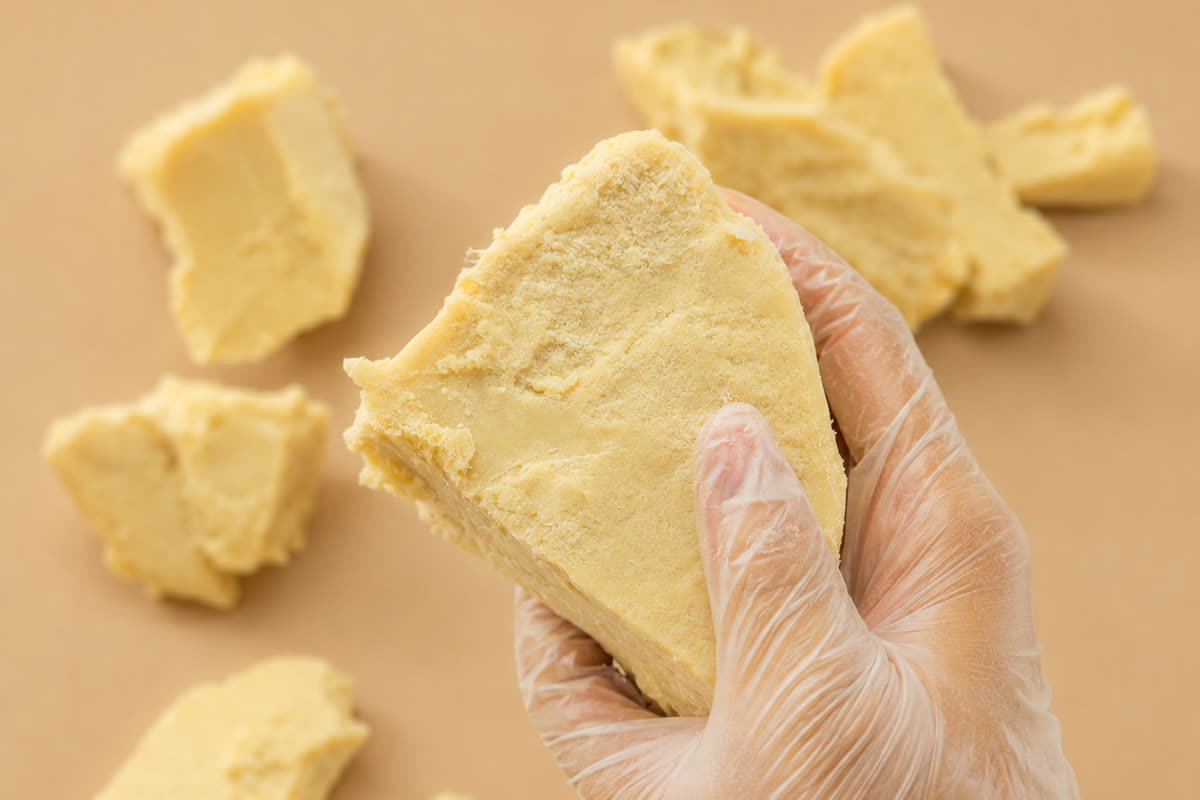 A gloved hand holding a large piece of raw unrefined shea butter, more chunks laid out around it